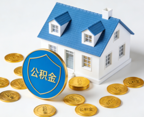 船营公积金资金使用边界详解：个人账户资金不得直接转借，但可通过合规途径支持家人